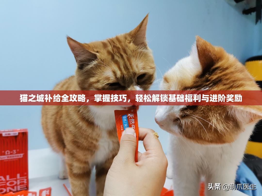 猫之城补给全攻略，掌握技巧，轻松解锁基础福利与进阶奖励