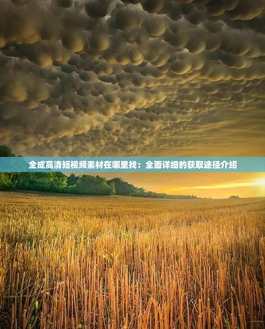 全成高清短视频素材在哪里找：全面详细的获取途径介绍