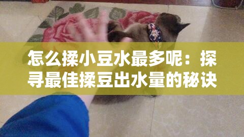 怎么揉小豆水最多呢：探寻最佳揉豆出水量的秘诀