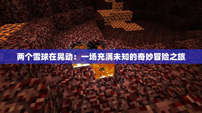 两个雪球在晃动：一场充满未知的奇妙冒险之旅