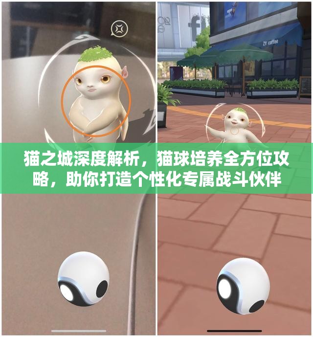 猫之城深度解析，猫球培养全方位攻略，助你打造个性化专属战斗伙伴