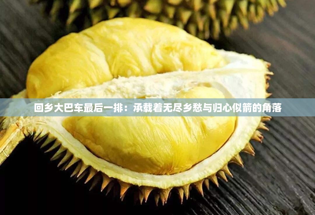 回乡大巴车最后一排：承载着无尽乡愁与归心似箭的角落