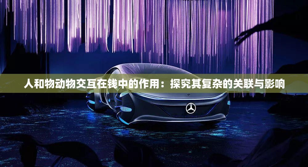 人和物动物交互在钱中的作用：探究其复杂的关联与影响