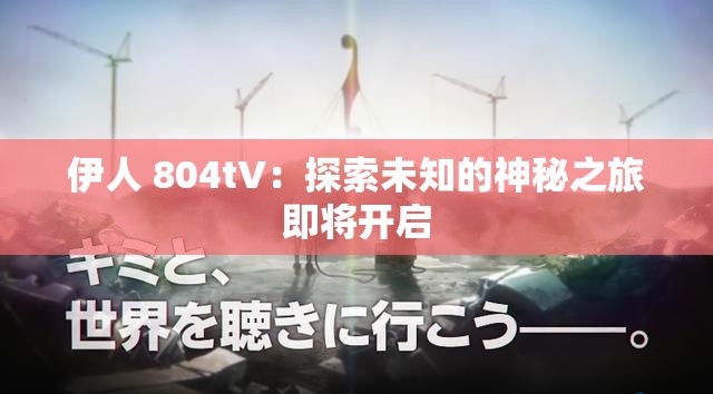 伊人 804tV：探索未知的神秘之旅即将开启