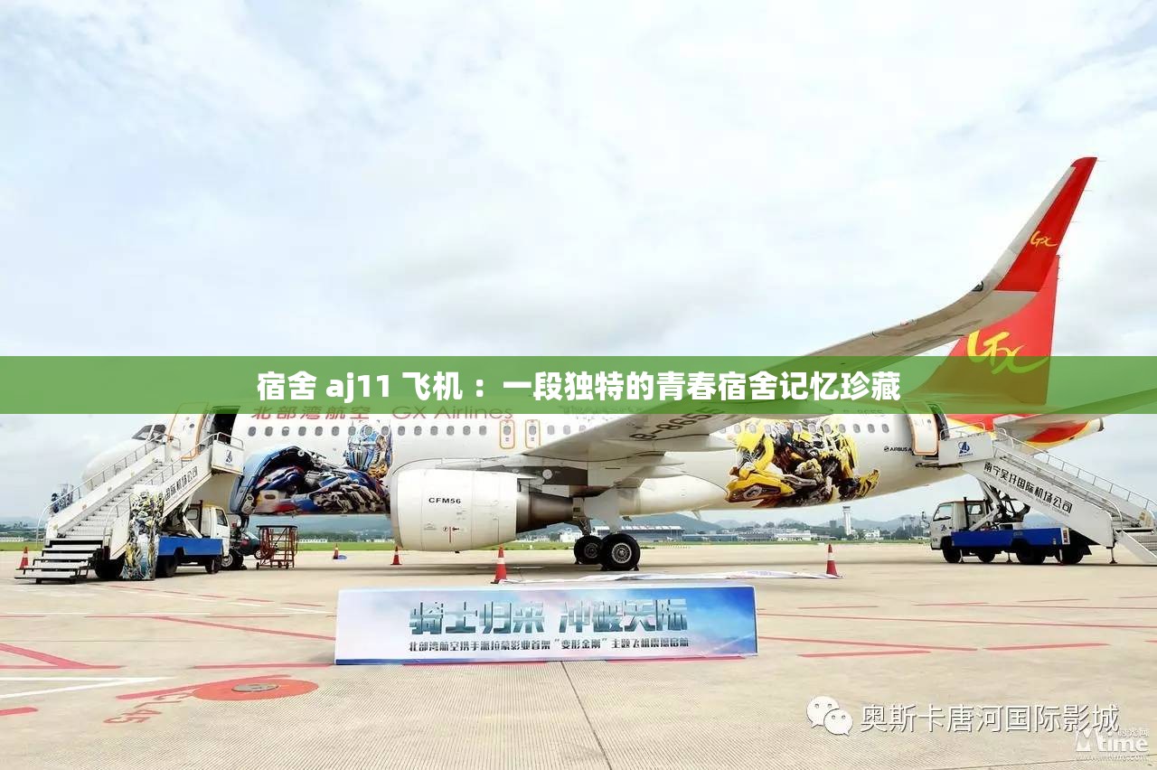 宿舍 aj11 飞机 ：一段独特的青春宿舍记忆珍藏