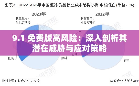9.1 免费版高风险：深入剖析其潜在威胁与应对策略
