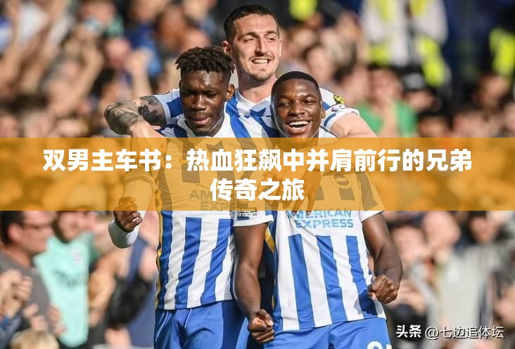 双男主车书：热血狂飙中并肩前行的兄弟传奇之旅