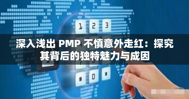 深入浅出 PMP 不慎意外走红：探究其背后的独特魅力与成因