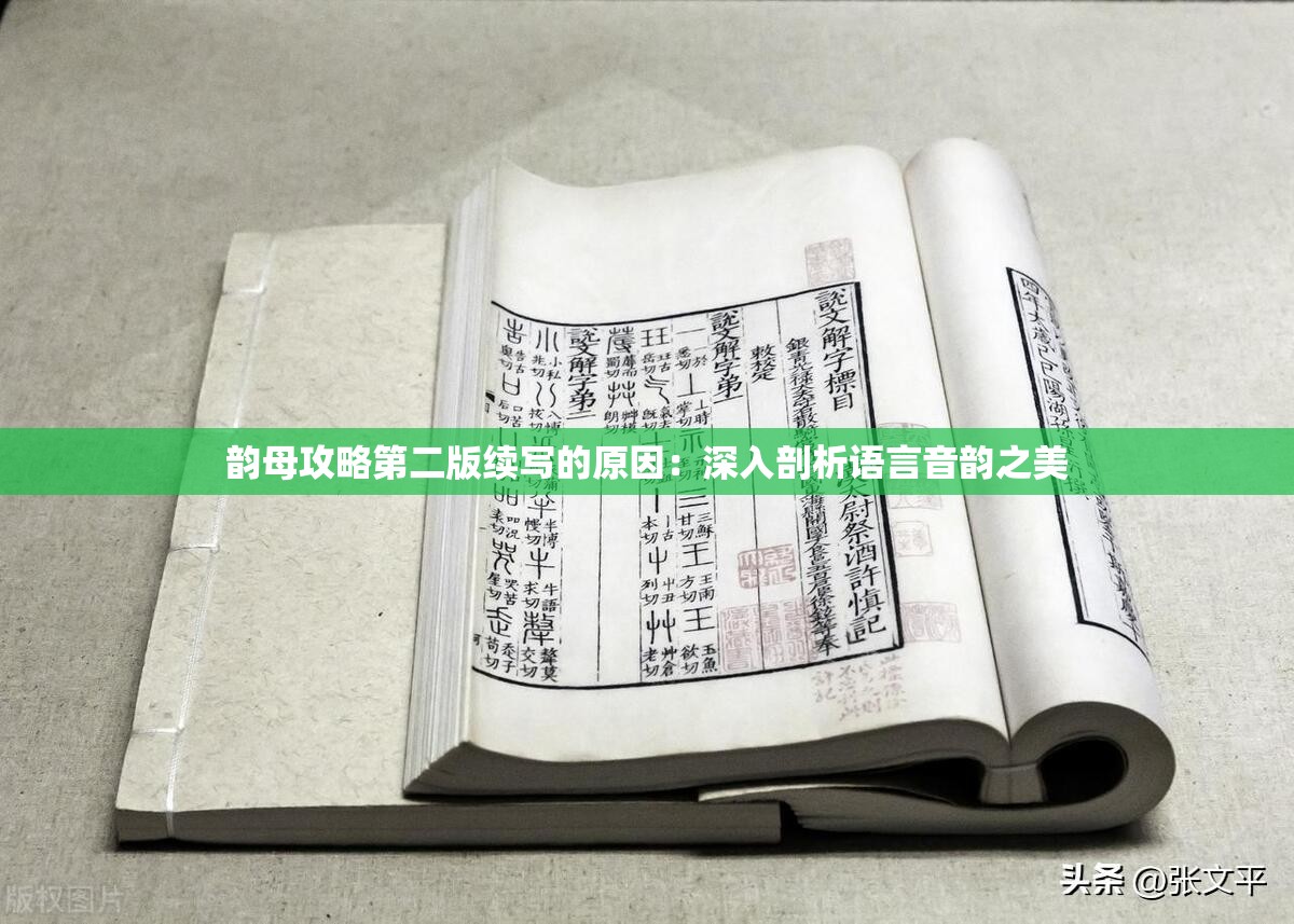 韵母攻略第二版续写的原因：深入剖析语言音韵之美