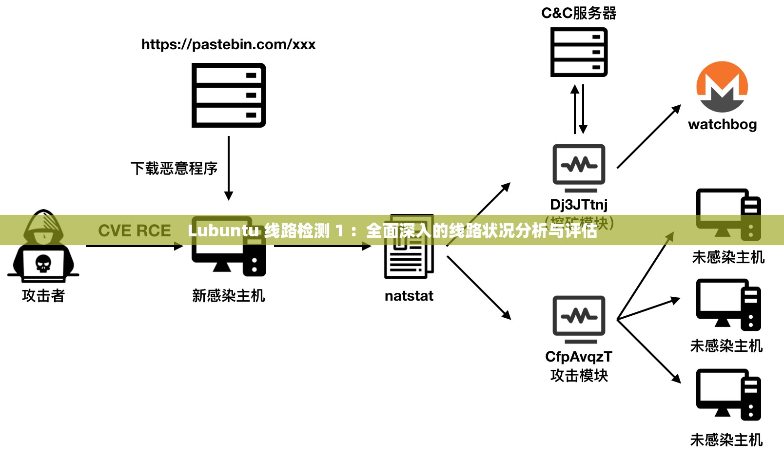 Lubuntu 线路检测 1 ：全面深入的线路状况分析与评估