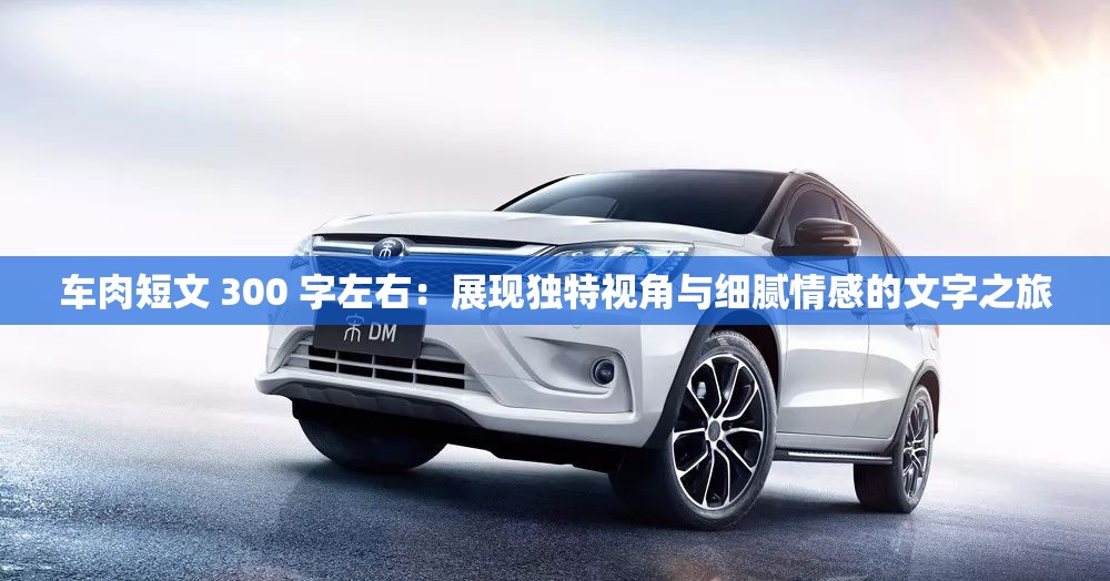 车肉短文 300 字左右：展现独特视角与细腻情感的文字之旅