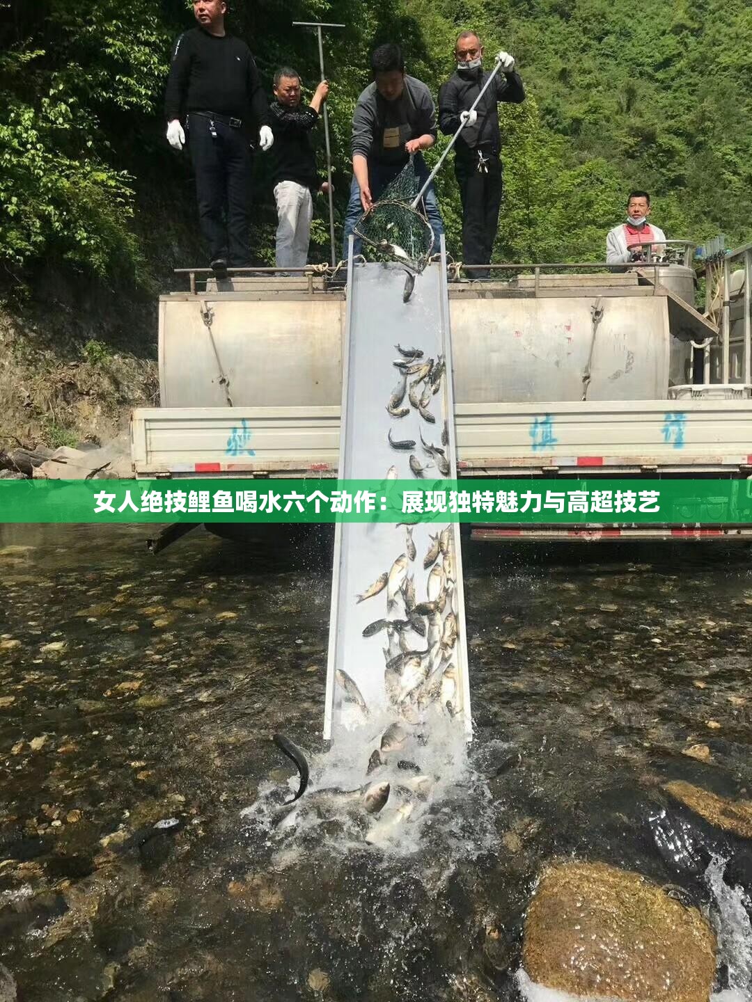 女人绝技鲤鱼喝水六个动作：展现独特魅力与高超技艺