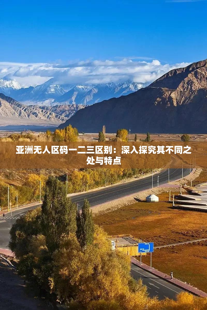 亚洲无人区码一二三区别：深入探究其不同之处与特点