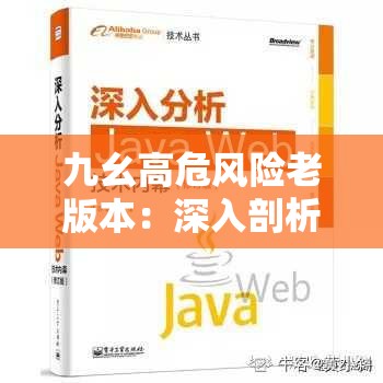 九幺高危风险老版本：深入剖析其潜在危害与应对策略
