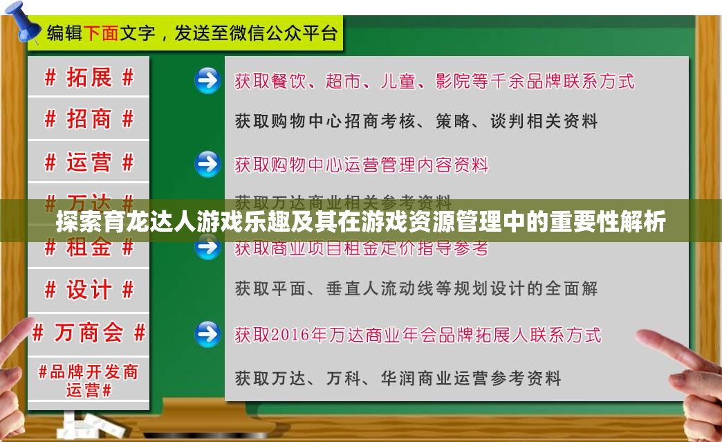 探索育龙达人游戏乐趣及其在游戏资源管理中的重要性解析