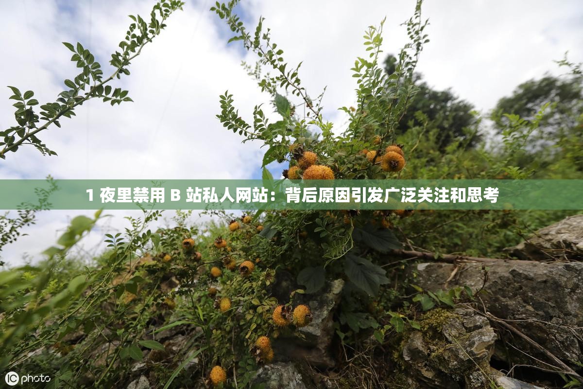1 夜里禁用 B 站私人网站：背后原因引发广泛关注和思考