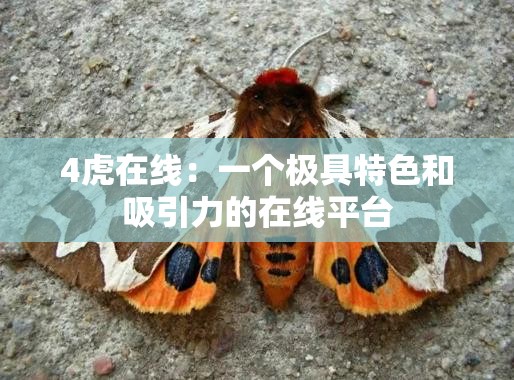 4虎在线：一个极具特色和吸引力的在线平台