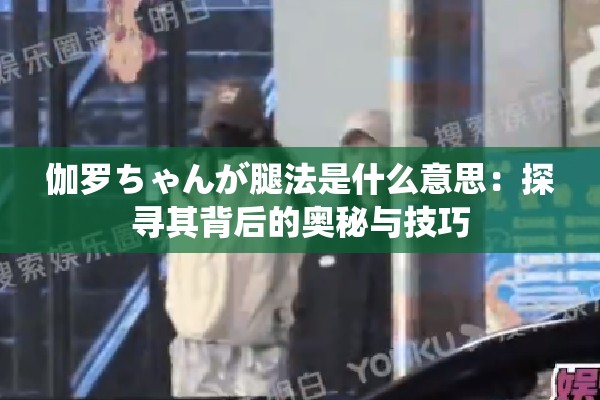 伽罗ちゃんが腿法是什么意思：探寻其背后的奥秘与技巧