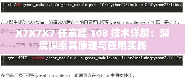 X7X7X7 任意噪 108 技术详解：深度探索其原理与应用实践