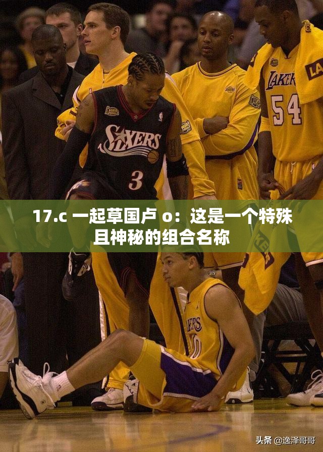 17.c 一起草国卢 o：这是一个特殊且神秘的组合名称