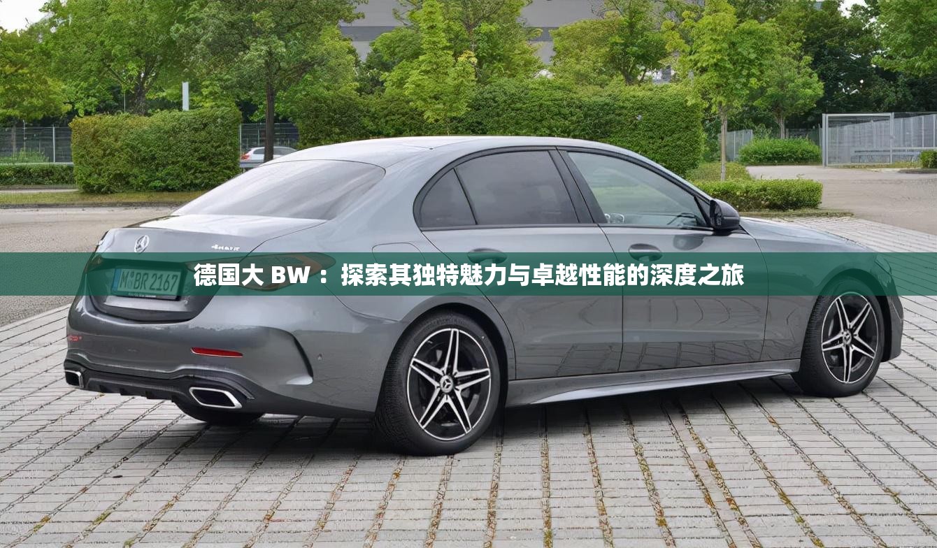 德国大 BW ：探索其独特魅力与卓越性能的深度之旅