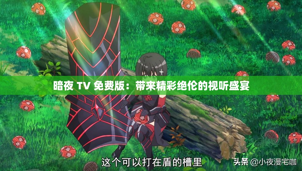 暗夜 TV 免费版：带来精彩绝伦的视听盛宴