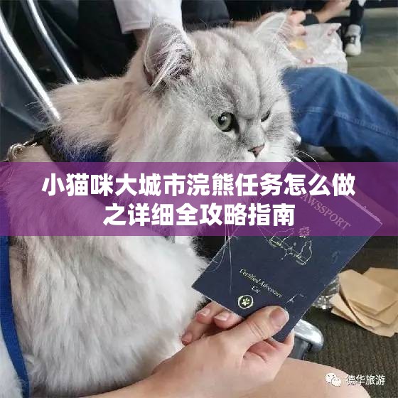 小猫咪大城市浣熊任务怎么做之详细全攻略指南