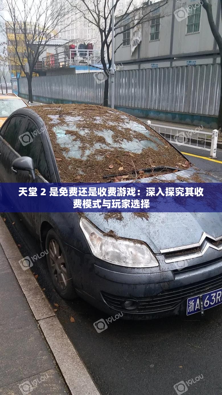 天堂 2 是免费还是收费游戏：深入探究其收费模式与玩家选择