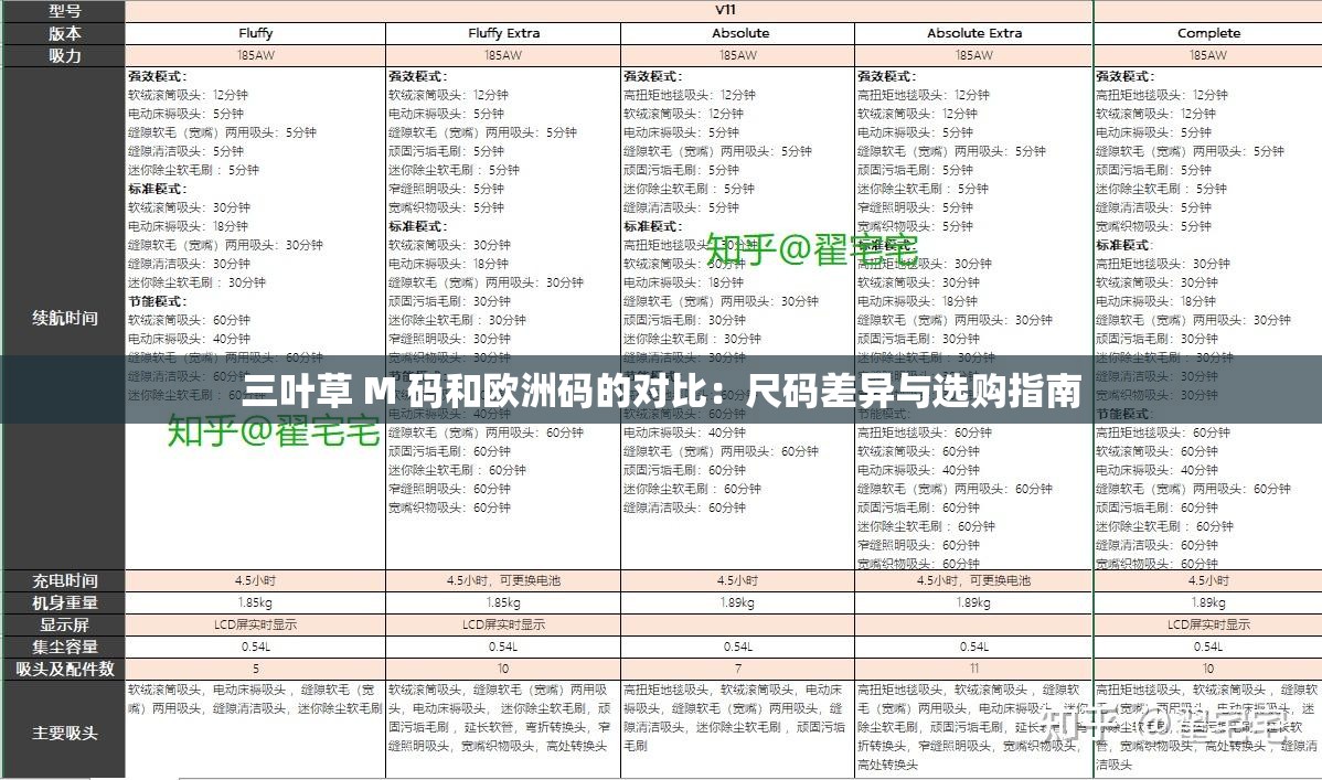 三叶草 M 码和欧洲码的对比：尺码差异与选购指南