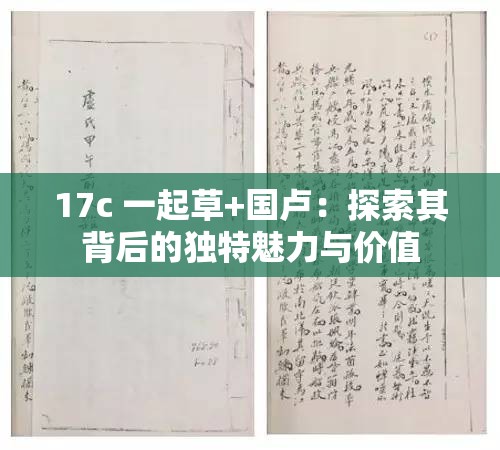 17c 一起草+国卢：探索其背后的独特魅力与价值