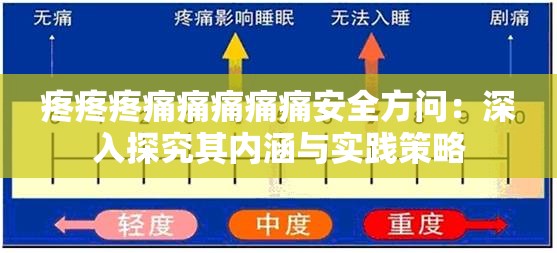 疼疼疼痛痛痛痛痛安全方问：深入探究其内涵与实践策略