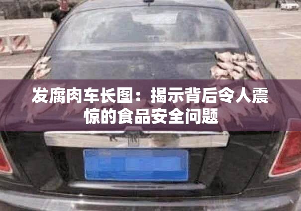 发腐肉车长图：揭示背后令人震惊的食品安全问题