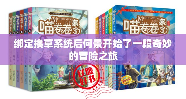 绑定挨草系统后何景开始了一段奇妙的冒险之旅