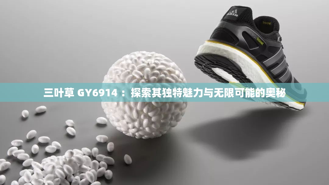 三叶草 GY6914 ：探索其独特魅力与无限可能的奥秘