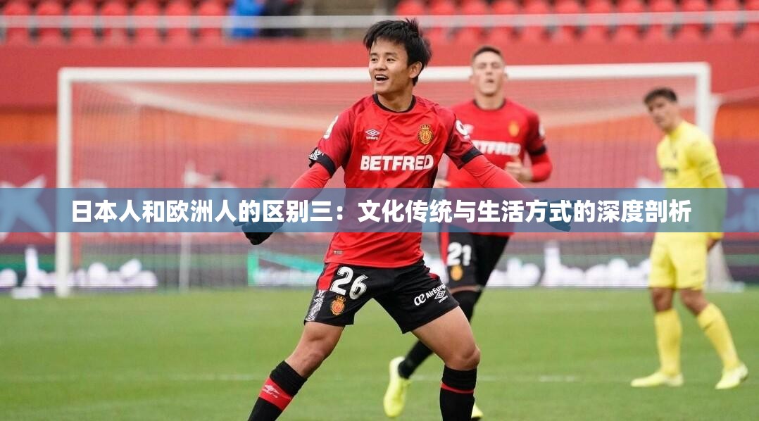 日本人和欧洲人的区别三：文化传统与生活方式的深度剖析