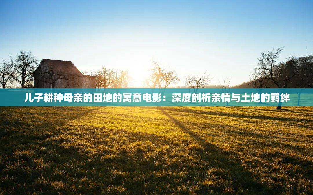 儿子耕种母亲的田地的寓意电影：深度剖析亲情与土地的羁绊