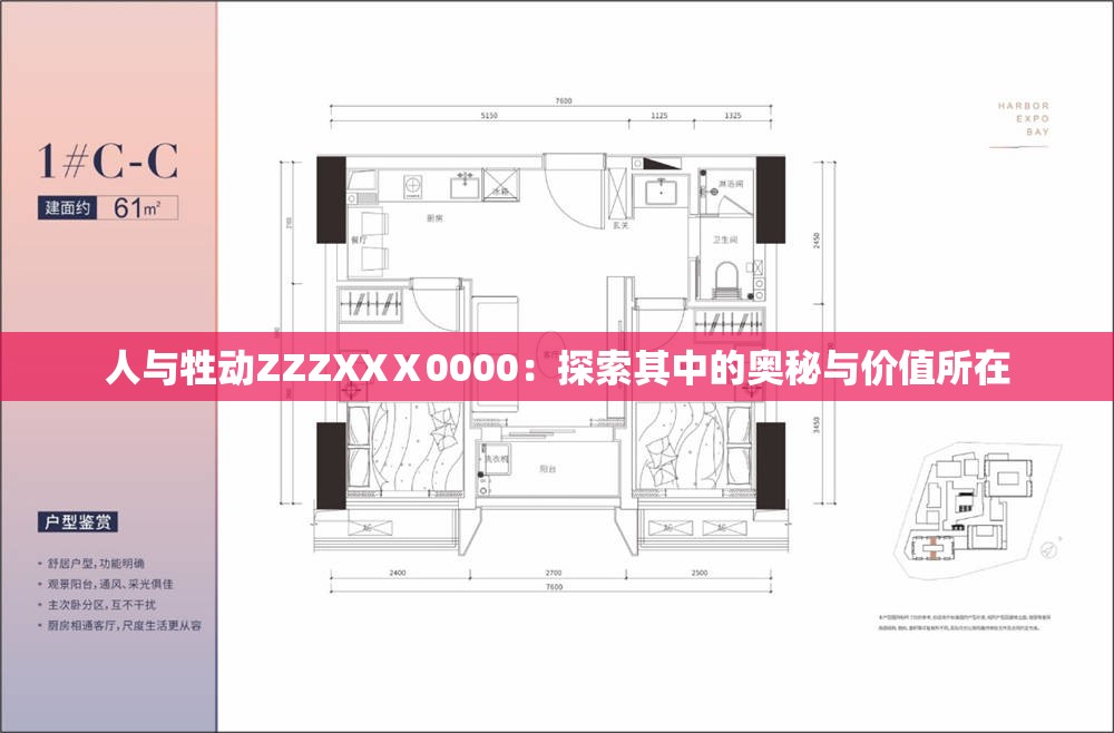 人与牲动ZZZXXⅩ0000：探索其中的奥秘与价值所在