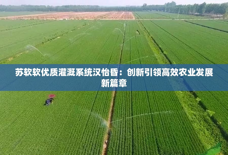 苏软软优质灌溉系统汉怡昏：创新引领高效农业发展新篇章