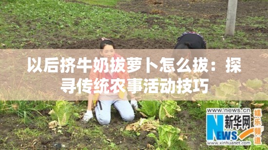以后挤牛奶拔萝卜怎么拔：探寻传统农事活动技巧