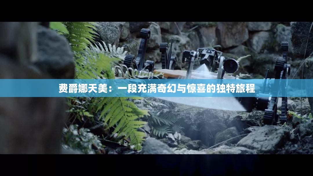 费爵娜天美：一段充满奇幻与惊喜的独特旅程