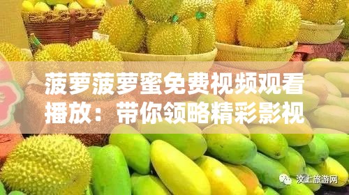 菠萝菠萝蜜免费视频观看播放：带你领略精彩影视世界