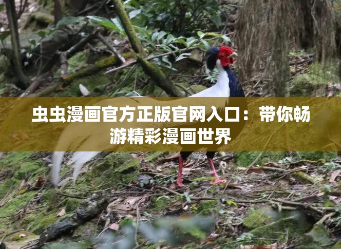 虫虫漫画官方正版官网入口：带你畅游精彩漫画世界