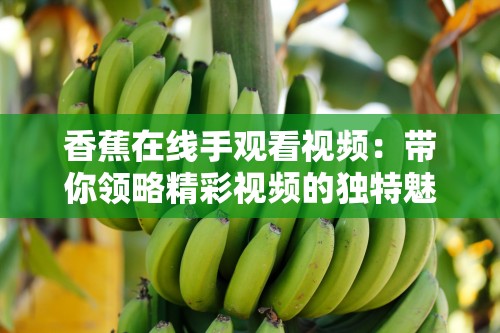香蕉在线手观看视频：带你领略精彩视频的独特魅力