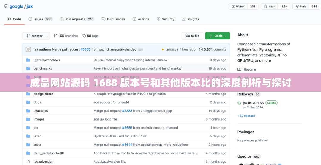 成品网站源码 1688 版本号和其他版本比的深度剖析与探讨