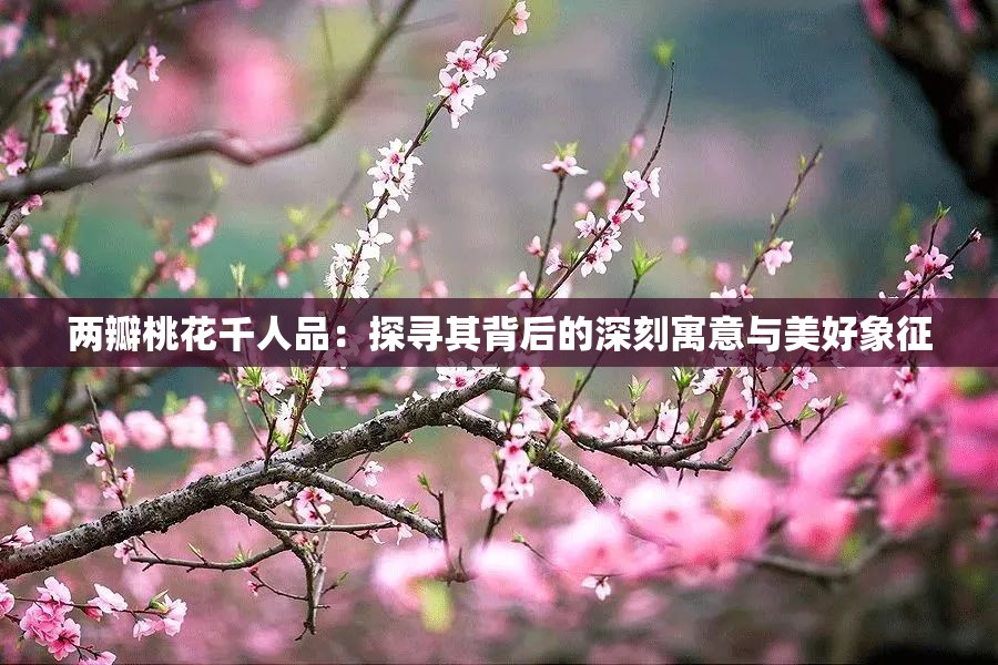 两瓣桃花千人品：探寻其背后的深刻寓意与美好象征