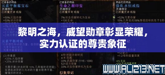 黎明之海，威望勋章彰显荣耀，实力认证的尊贵象征
