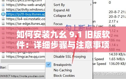 如何安装九幺 9.1 旧版软件：详细步骤与注意事项