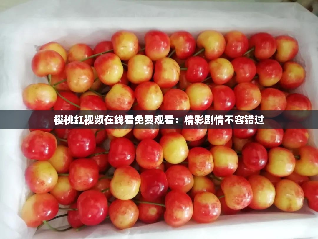 樱桃红视频在线看免费观看：精彩剧情不容错过