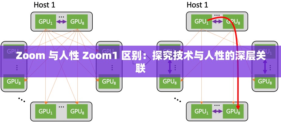 Zoom 与人性 Zoom1 区别：探究技术与人性的深层关联
