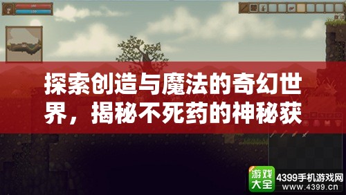 探索创造与魔法的奇幻世界，揭秘不死药的神秘获取之旅与奥秘